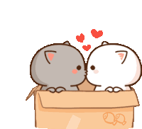 two cats kissing in a box with hearts coming out of it