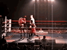 a man in a white shirt stands in a boxing ring with a sign that says ' victory ' on it