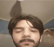 a man with a beard is taking a selfie with a ceiling fan in the background .