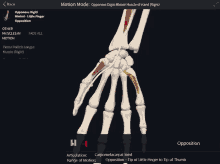 a computer screen shows a skeleton of a hand and says " motion mode "