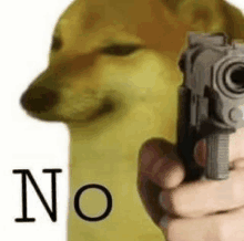 a cheems dog is holding a gun in front of a person .