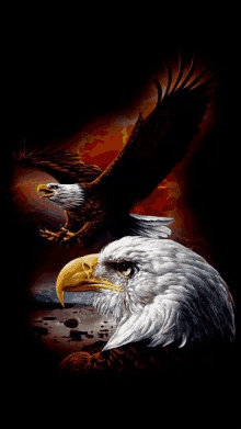 a painting of two bald eagles with one flying and one standing