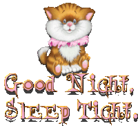 a cartoon cat with the words good night sleep tight