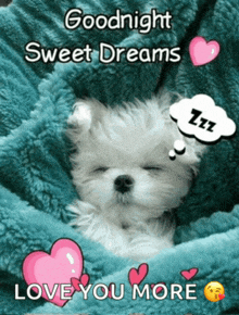 a puppy is sleeping under a blanket with the words goodnight sweet dreams love you more on the bottom