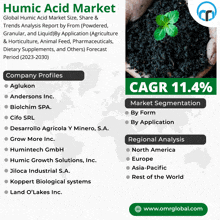 a flyer for the humic acid market with a picture of a plant