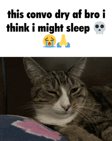 a cat laying on a bed with a caption that says this convo dry af bro i think i might sleep