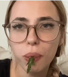 a close up of a woman wearing glasses eating a green leaf .