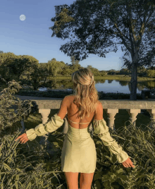 a woman in a green dress is standing in front of a body of water