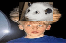 a young boy with a picture of an opossum on top of his head