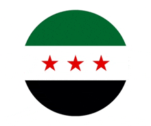 the flag of syria has three red stars on it