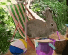 a rabbit is drinking from a cup with a straw