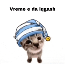 a cat wearing a striped hat with the words vreme e da lqgash written above it