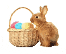 a small brown rabbit is sitting next to a basket of easter eggs .