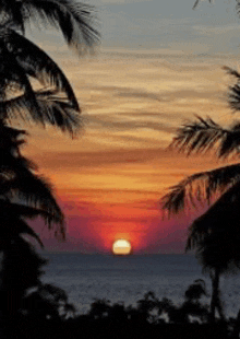 a sunset over a body of water with palm trees in the foreground .