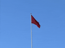 a red flag with a yellow star on it is flying in the wind