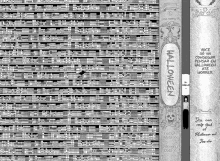 a black and white drawing of a witch standing in front of a wall of bookshelves .