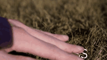 a person 's hand is touching a piece of grass with the letter s written on it .