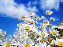 a bunch of daisies with the words happy easter gals