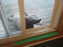 a dog laying on a wooden deck looking out a sliding glass door