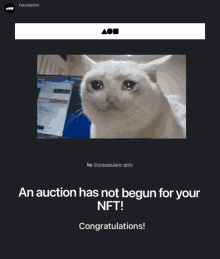 an auction has not begun for your nft and congratulations