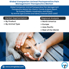 an advertisement for a global companion animal postoperative pain management therapeutics market