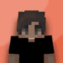 a minecraft character is wearing a black shirt