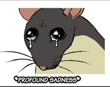 a drawing of a mouse with tears coming out of its eyes with the words profound sadness below it