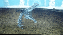 a skeleton of a dragon laying on the ground