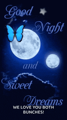 a good night and sweet dreams message with a blue butterfly and a full moon