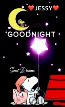 a snoopy poster that says goodnight sweet dreams on it