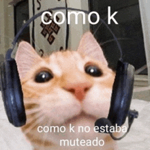 a cat wearing headphones and a microphone with the words como k on it .