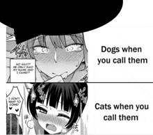 dogs when you call them and cats when you call them .