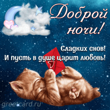 a cat laying on its back holding a red envelope with the words good night in russian