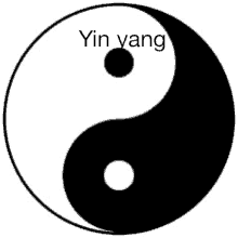 a black and white yin yang symbol with a white circle in the middle