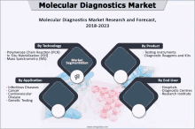 a molecular diagnostics market research and forecast