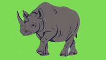 a drawing of a rhinoceros with a green background