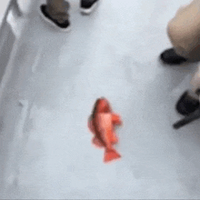 a person is standing next to a fish on the floor .