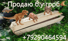 three dinosaurs standing on top of a wooden coffin with the number 79290465594