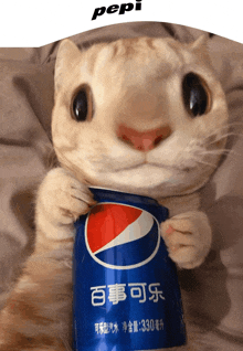 a cat holding a can of pepsi with chinese writing