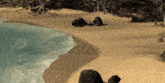 a computer generated image of a beach with rocks