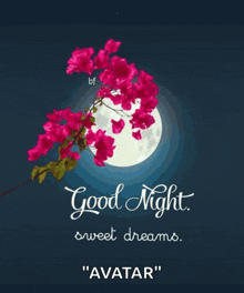 a picture of flowers with the words " good night sweet dreams avatar "