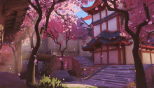 cherry blossoms are falling from the trees in a japanese garden