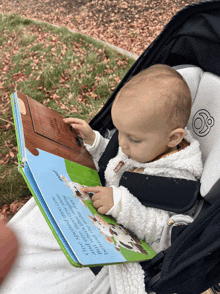 a baby sits in a stroller reading a book about a cow