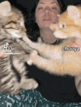 a woman is holding two kittens in her arms with a caption that says chuuya on it