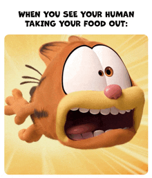 a picture of garfield with a caption that says when you see your human taking your food out