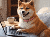 a dog with a pink collar is using a laptop