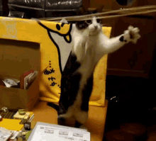 a black and white cat is standing on its hind legs in front of a yellow towel with chinese writing on it