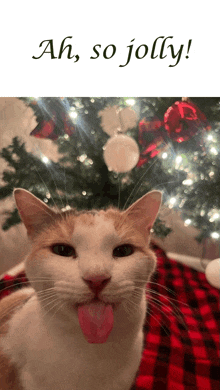 a cat sticking its tongue out in front of a christmas tree with the words ah so jolly above it