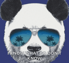 a panda bear wearing sunglasses that say i know what bo don 't know