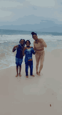 a woman and two young boys pose for a picture on the beach